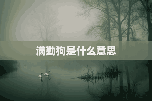 满勤狗是什么意思